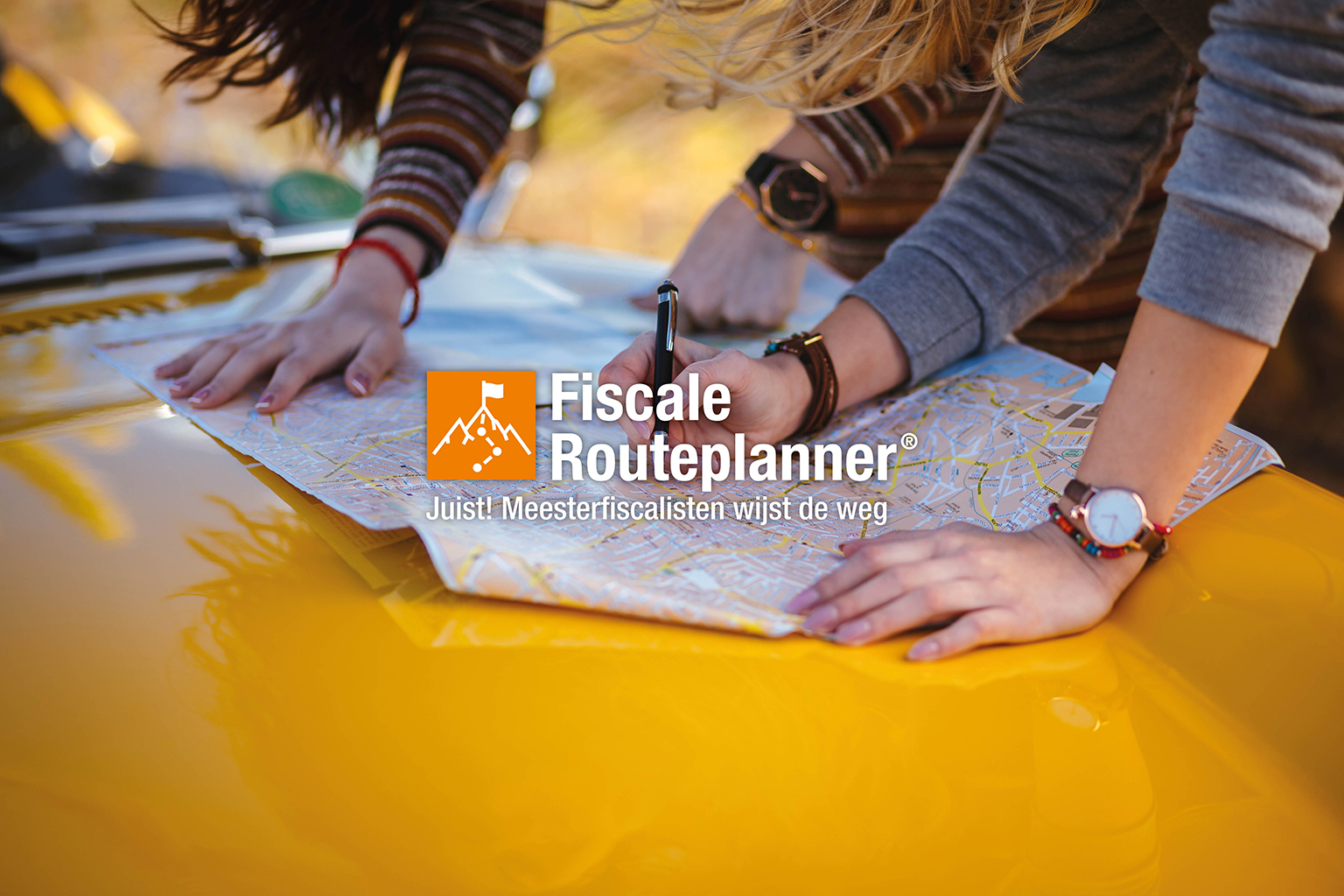 384.042 Beelden met logo's FRP Semi DIAP 01